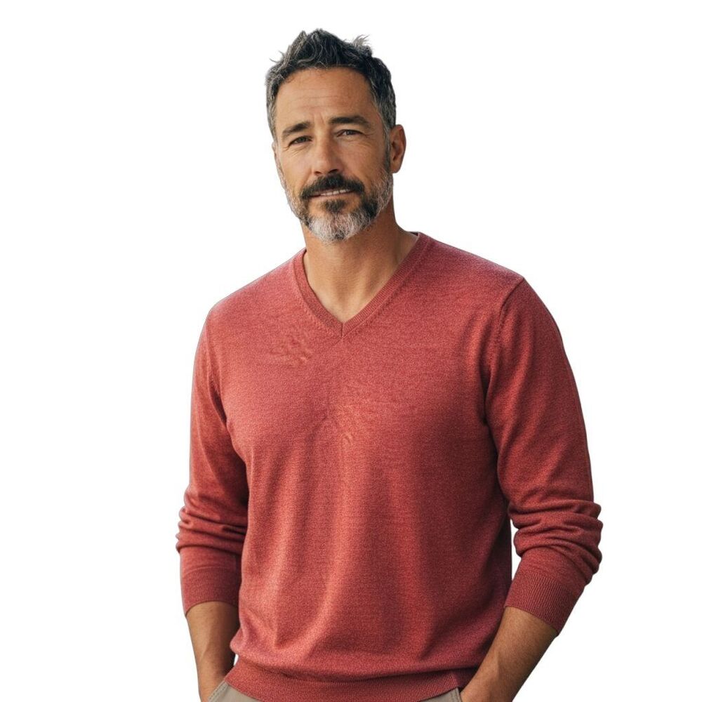 Brooks Brothers 346 Men's L Burnt Sienna V-Neck Sweater Extra Fine Merino Wool